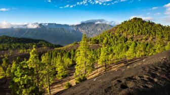 shutterstock_70321597_La_Palma_Cumbre_Nueva.jpg