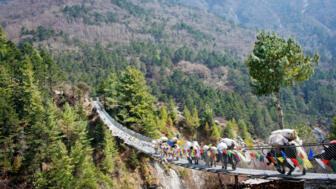 bhutan-bhkom-yak-on-the-bridge-near-everest-base-camp-in-nepal-shutterstock_235234090.jpg