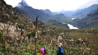 uganda-ruwenzori-höhenweg 3.jpg