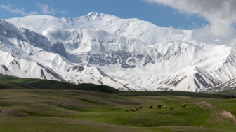 Lenin peak 2019-50.jpg