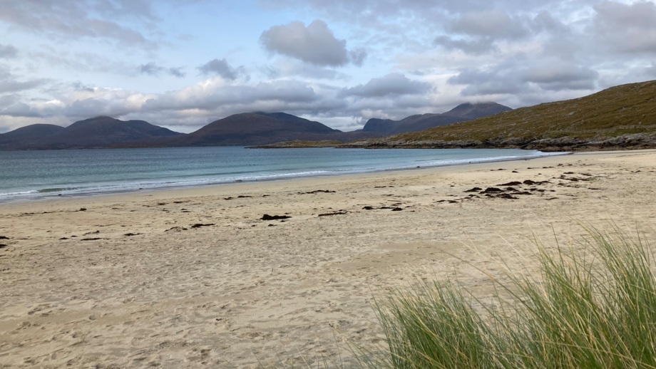 Eine Dünenlandschaft mit Schilf und dem Meer im Hintergrund.