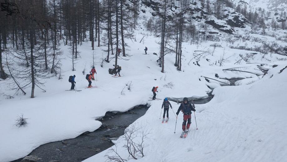 Aufstieg mit Ski durch den Wald