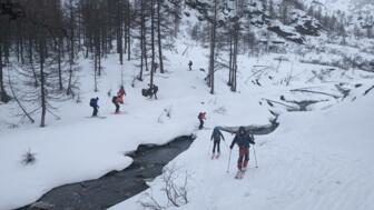 Aufstieg mit Ski durch den Wald