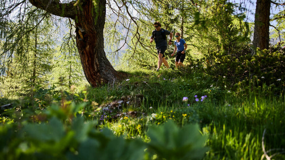 Trailrunning