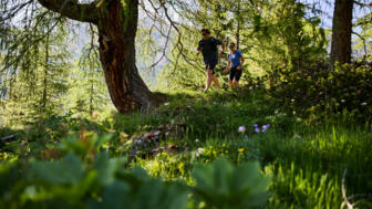 Trailrunning