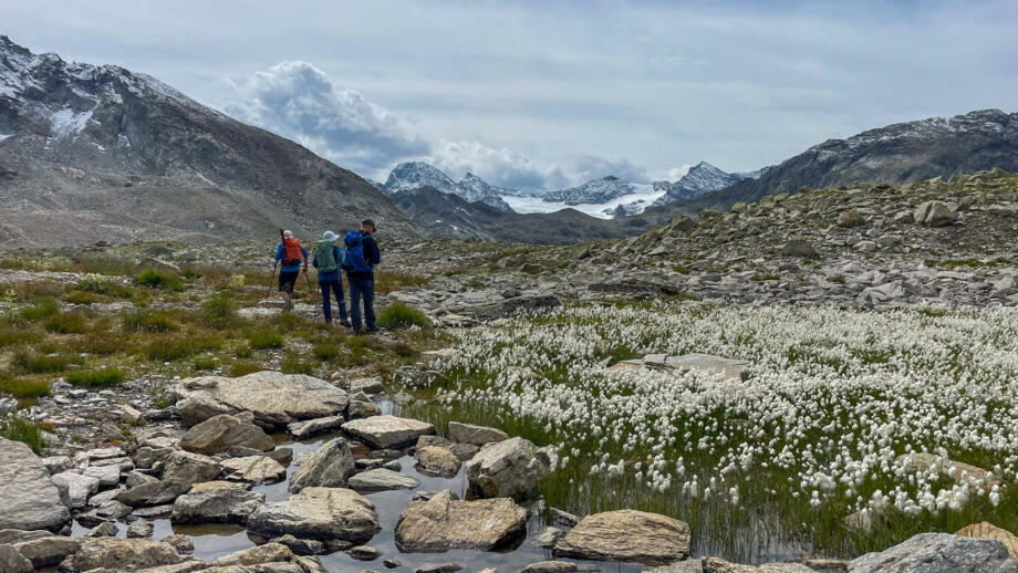oesterreich-silvretta-bieler-hoehe-twin-wanderungen-img-4637.jpg