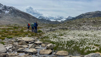 oesterreich-silvretta-bieler-hoehe-twin-wanderungen-img-4637.jpg