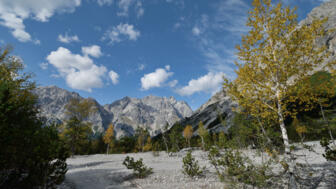 shutterstock_747352183_HWWAT.jpg