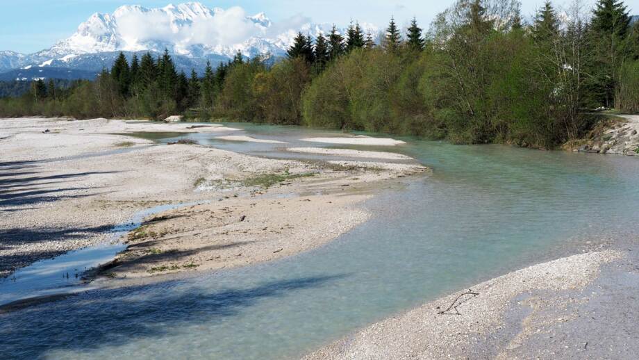 Obere_Isar_SL1-c-Sigrun-Lange-WWF.jpg