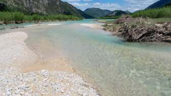 Obere_Isar_SL3-c-Sigrun-Lange-WWF.jpg