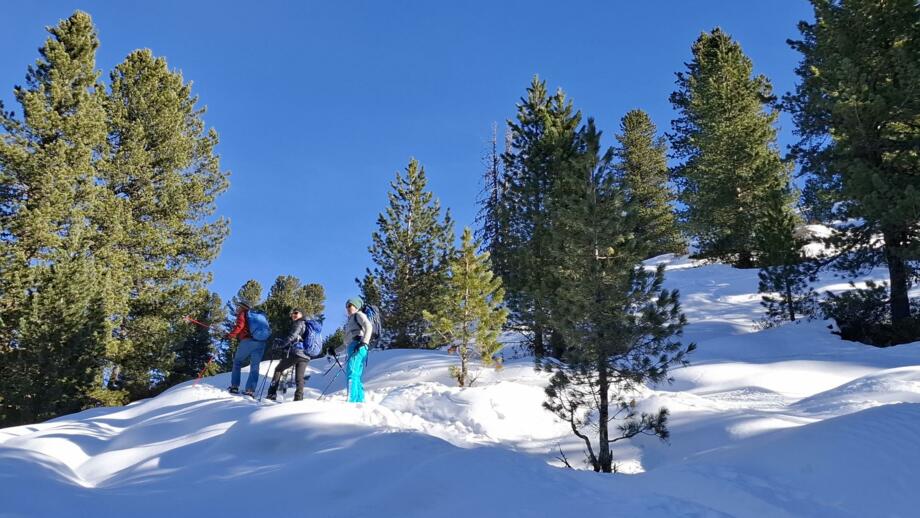 oesterreich-schneeschuhwandern-winter-potsdamerhuette-swrpot (21).jpg