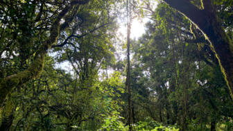 afrika-kilimandscharo-aufstieg-IMG_0052 (9).jpg