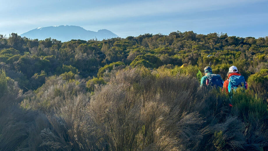 afrika-kilimandscharo-aufstieg-IMG_0052 (10).jpg