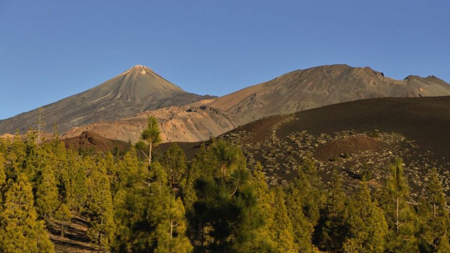 0870_Teneriffa_Nationalpark-Teide[1].jpg