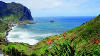 Madeira_DAV_R_03.jpg