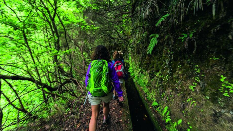 levada-do-silveira-1_29340491415_o.jpg