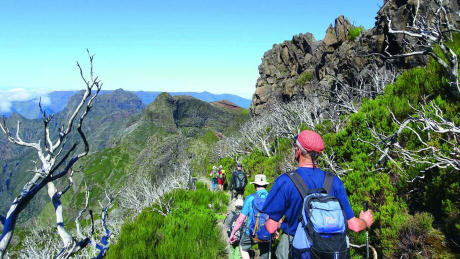 Madeira_DAV_R_10.jpg