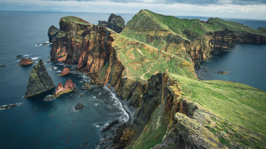 shutterstock_1291058287_madeira_sao_lourenco.jpg