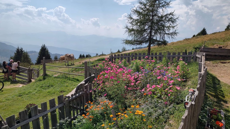 Ein Bauerngarten vor der Alm mit einer Blumenwiesen