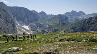 montenegro-banat-durmitor national park.jpg