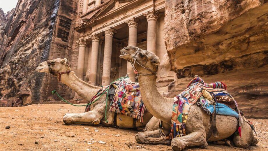 Zwei sitzende Kamele vor einm antiken Steingebäude mit Säulen in Petra
