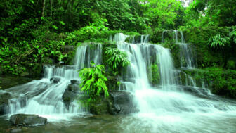 Aufnahme im Regenwald vom Wasserfall des Flusses Archidona