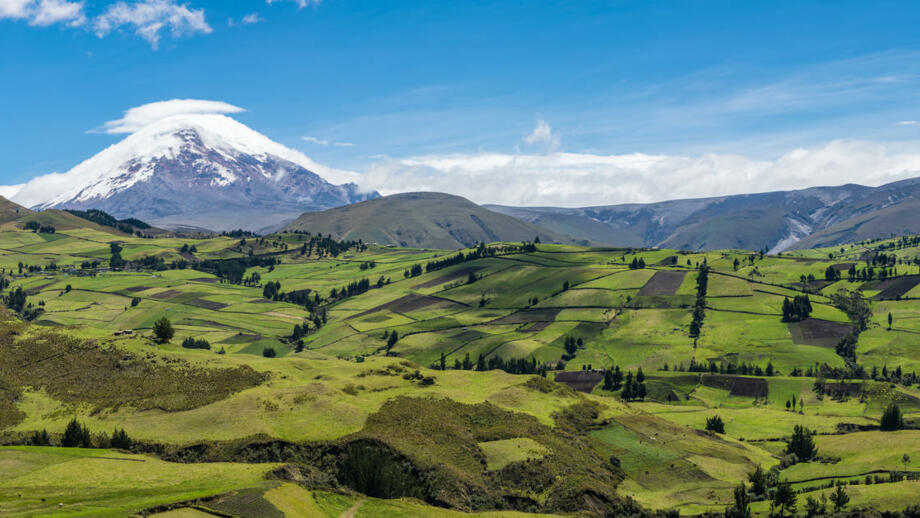 Panorama Aufnahme von grünen Feldern und im Hintergrund der Berg Chimborazo
