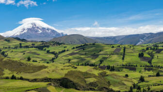 Panorama Aufnahme von grünen Feldern und im Hintergrund der Berg Chimborazo