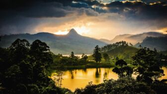 Nächtlicher Blick auf Teeplantagen in Sri Lanka und golden schimmernde See mit einer Bergshilouette im Hintergrund