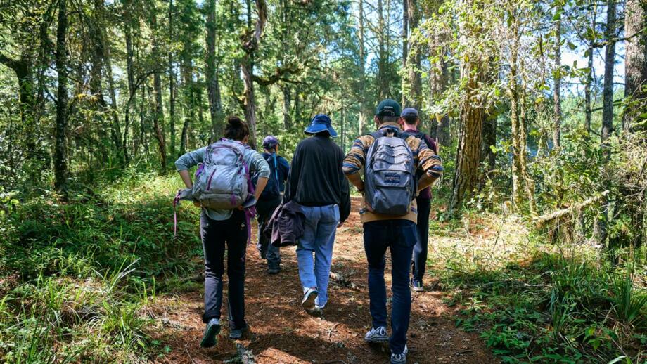 Fünf Wanderer im mexikanischen Urald