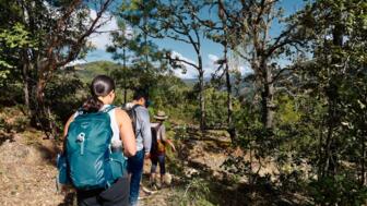 Drei Wandernden im mexikanischen Bergwald