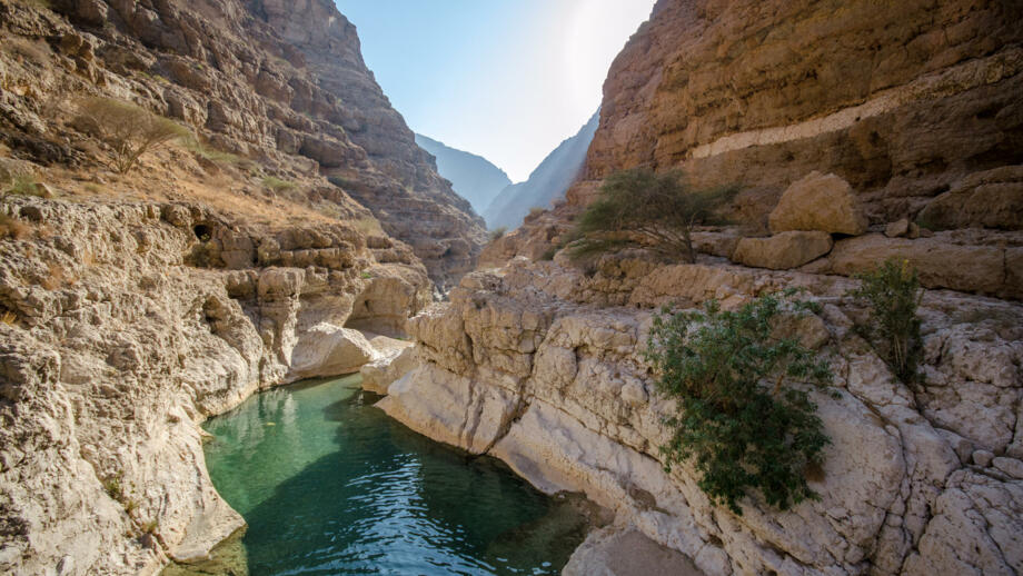 Wadi mit Fluss, Felsen und einzelnen Sträuchern