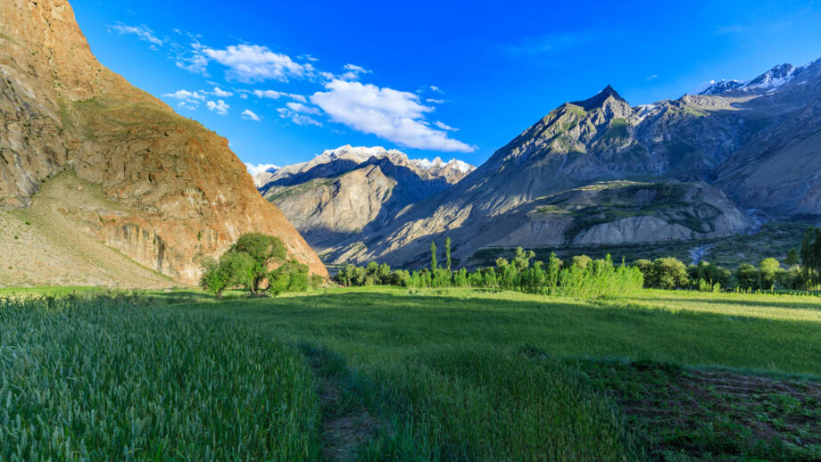 Grüne Oase im Karakorum