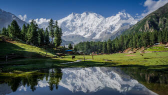 Märchenwiese mit dem Achttausender Nanga Parbat