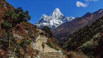 nepal-hikte-trek-von-tengboche-nach-pangboche-trekker-auf-everest-trail-mit-blick-auf-ama-dablam-shutterstock_2397462353.jpg