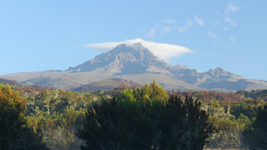 afrika-tansania-kilimandscharo-marangu route-IMG_6936.jpg