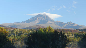 afrika-tansania-kilimandscharo-marangu route-IMG_6936.jpg