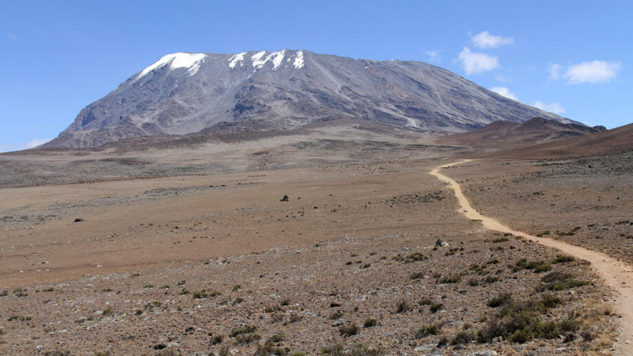 afrika-tansania-kilimandscharo-marangu route-IMG_7166.jpg