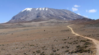 afrika-tansania-kilimandscharo-marangu route-IMG_7166.jpg