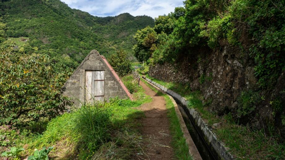 Wanderweg im grünen in Vereda da boca do Risco