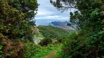 Wanderweg mit ausblick auf das Meer und Steileklippen in Vereda da boca do Risco