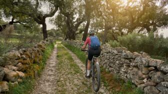 Mountainbike Fahrer im Nationalpark Serra de Sao Amede