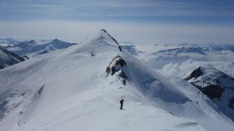 Skitour Grat Ortler