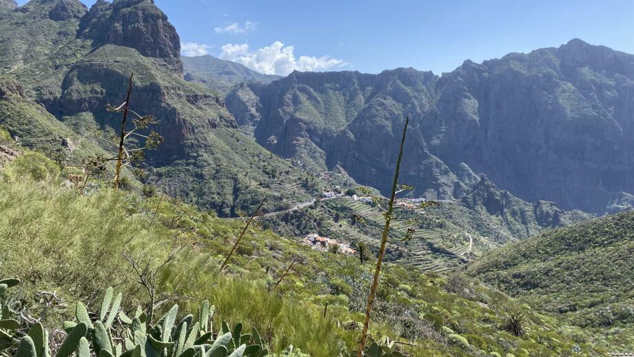 spanien-kanaren-teneriffa-teno gebirge-img-4995.jpg