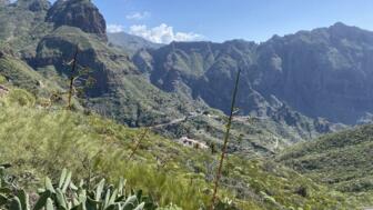 spanien-kanaren-teneriffa-teno gebirge-img-4995.jpg