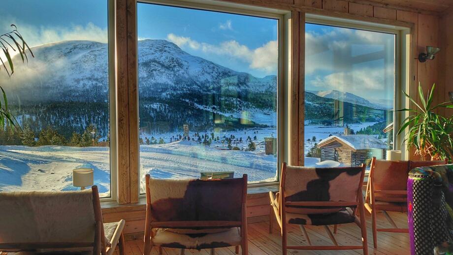 view-mountain-library-2.jpg