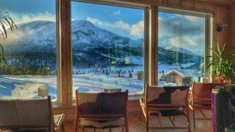 view-mountain-library-2.jpg