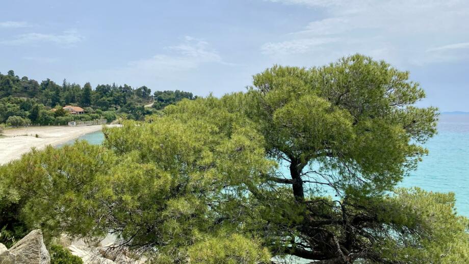 Griechenland-Chalkidiki-Nikiti-GICHA-img_1560.jpg