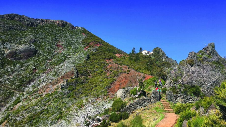 madeira-dav-r-05.jpg