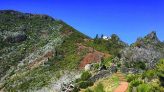 madeira-dav-r-05.jpg